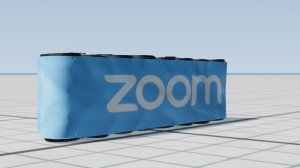 zoom.jpg