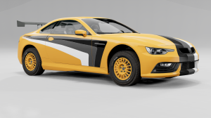 RallyM.png