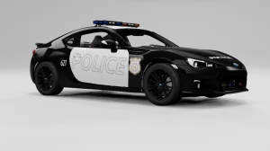 police_us.png
