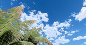 screenshot_2023-04-13_22-46-21.png