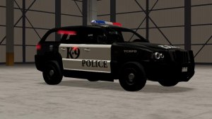 K9.jpg