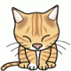 TheKitten