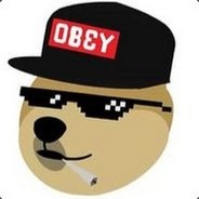 the swag DOGE (cs.money)