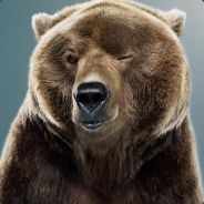 PolarBear 2