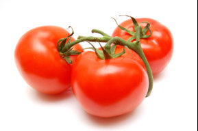 tomatenbauer