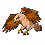 HecticHawk