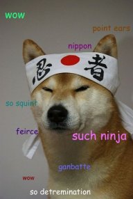 ninja_doge2006