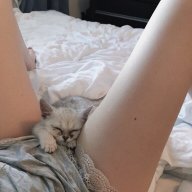 Shpok