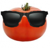 tomato592