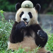 Bandrbear