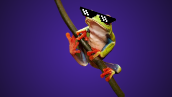 thefrogfrugus