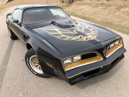 Bandit1977
