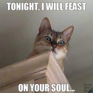 Awsomekatz