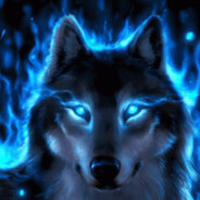 Wolfer 2