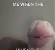 GoofyCarVideos