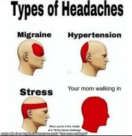 Stupidratgamer445