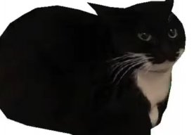Shanerisbetterthanu