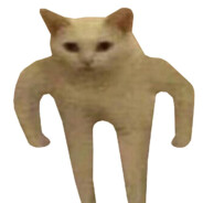 Trapvlon