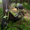 ptak128