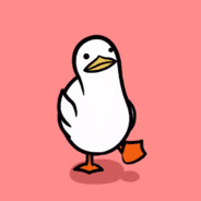 Duck__