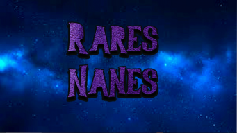RaresNanes77