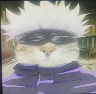 ShadowKitty