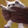 yeeeeeeeeeeeeeeeeeeee