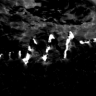 bfrheostat