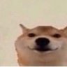 eggward