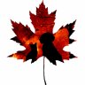 Mat The Canadian