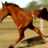 cheval