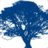 Blue_Tree
