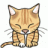 TheKitten