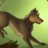 Johnwolf234