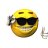 <-=[S.d.V]=-> Duck