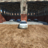 aaron_wainwright
