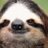 Sloth 3