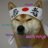master ninja doge