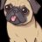 Mr Pug