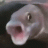 S0APEE