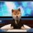 news doge12346