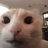 cjperk2845