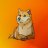 Disco Doge