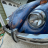Bugster