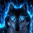 Wolfer 2