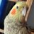 Birdy67