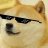 Dogethepro