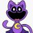catnap234