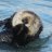 Otter Ware