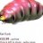 screamingecko1734